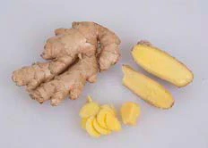 Edible Yellow Ginger Root Plant (Zingiber officinale) - Image 2
