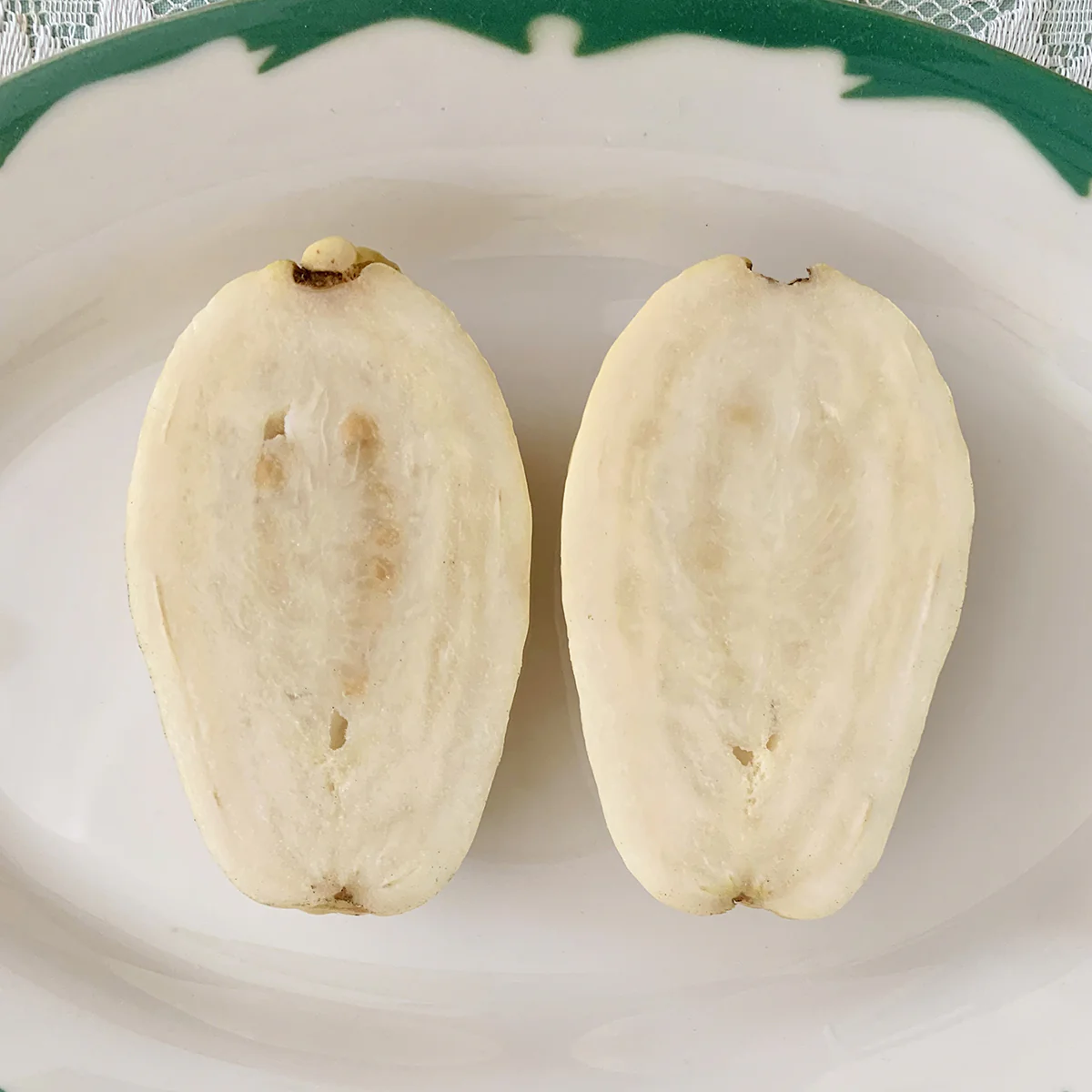 Egyptian Yellow Guava Plant (Psidium guajava hybrid) - Image 3