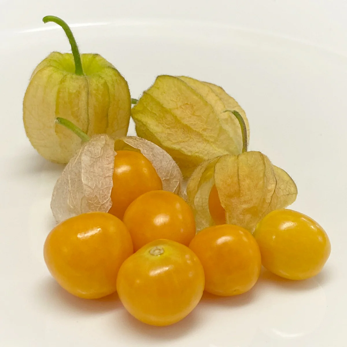 Goldenberry Plant (Physalis peruviana) - Image 2