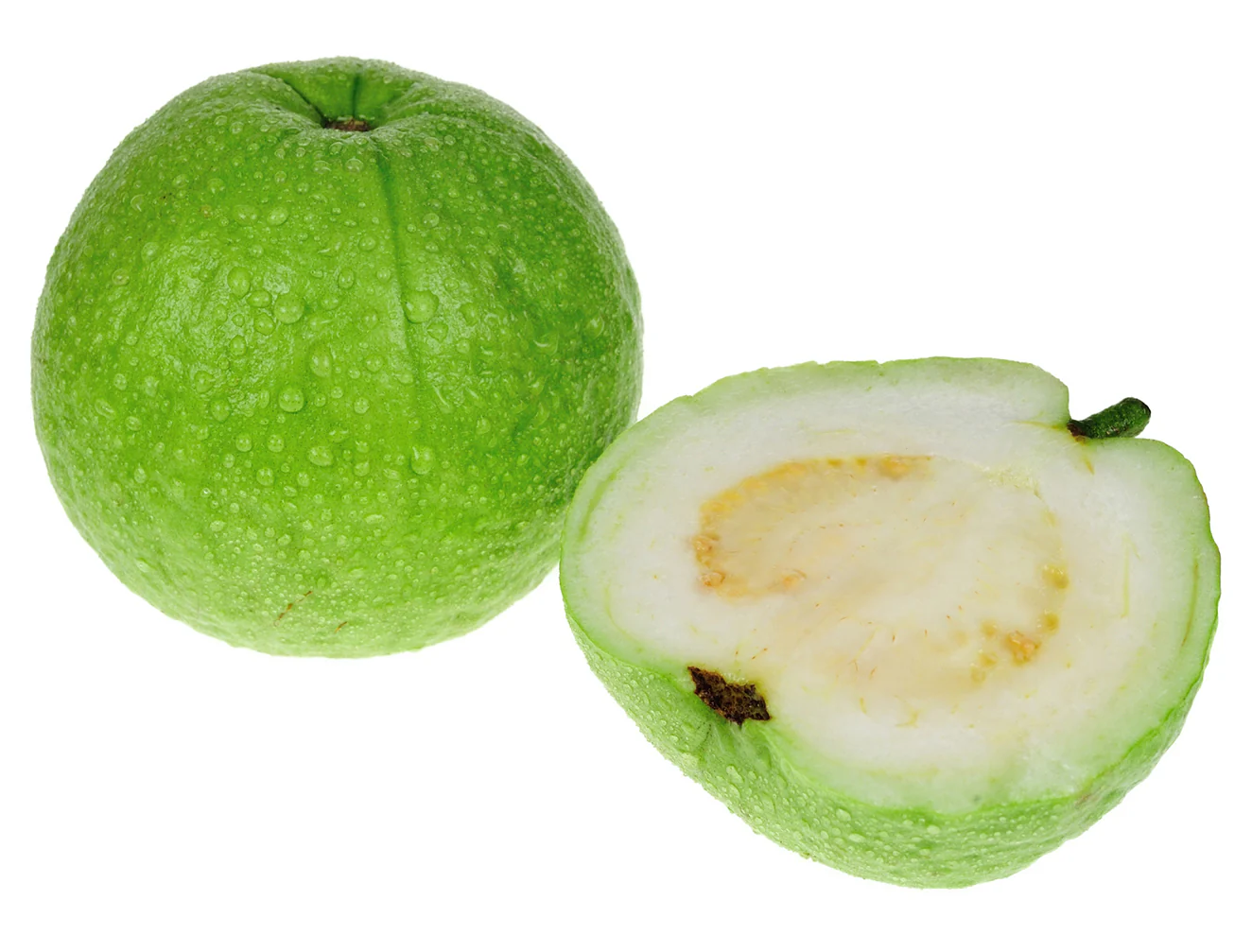 Guava ‘Mexican White’ (Psidium guajava) - Image 2