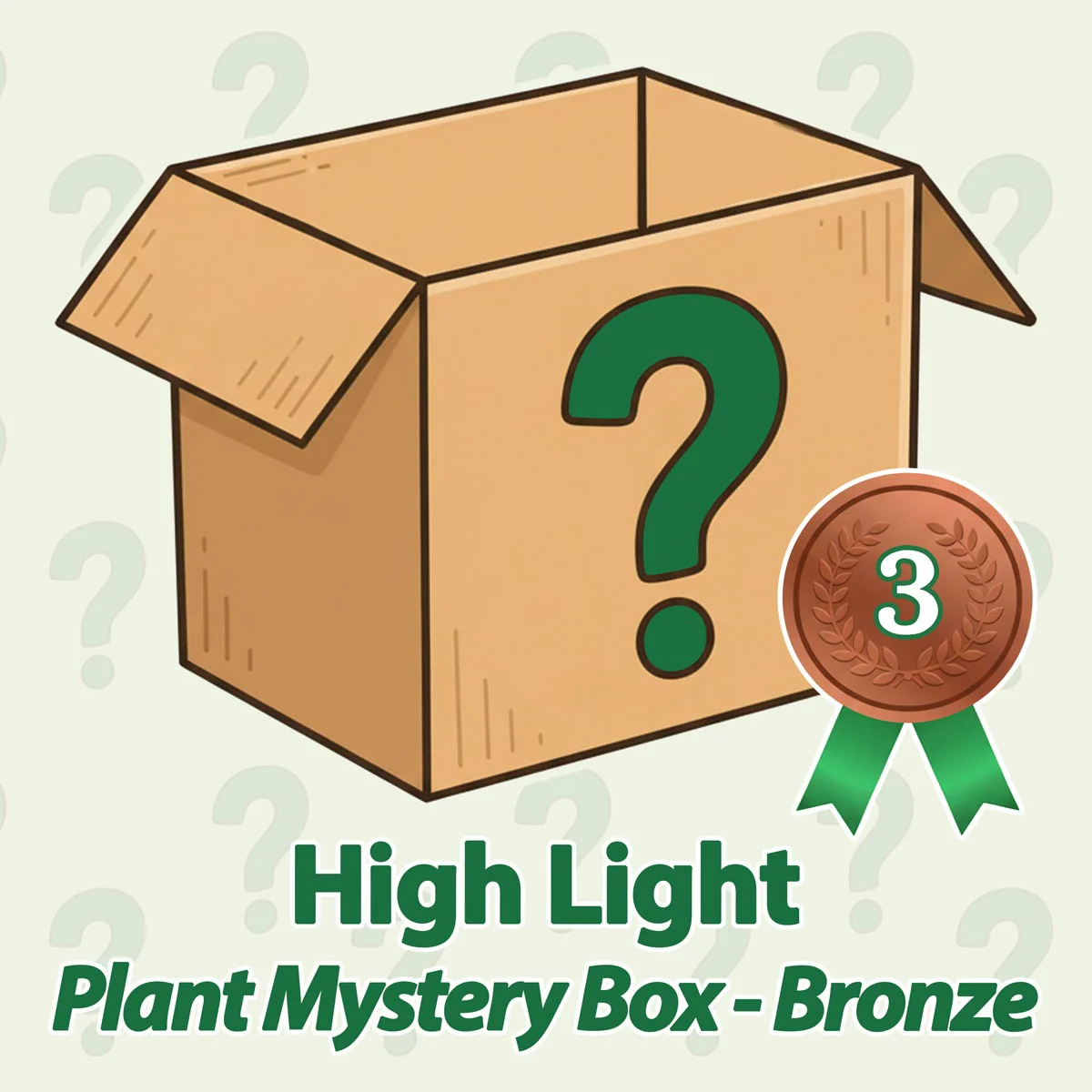 High Light Plant Mystery Box - Bronze
