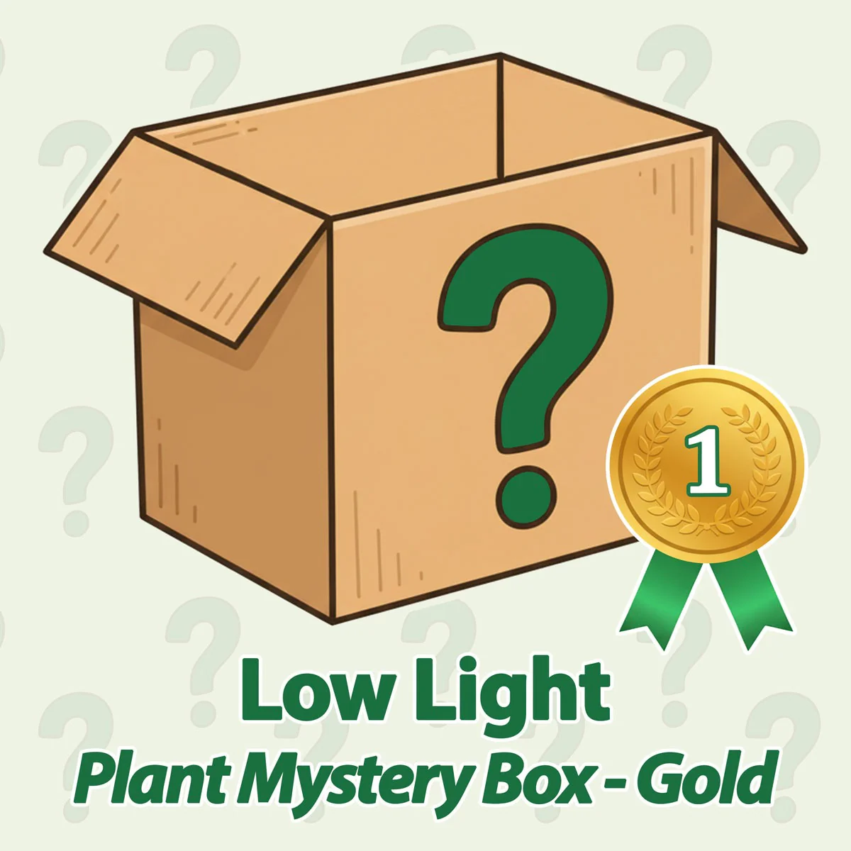 Low Light Plant Mystery Box - Gold