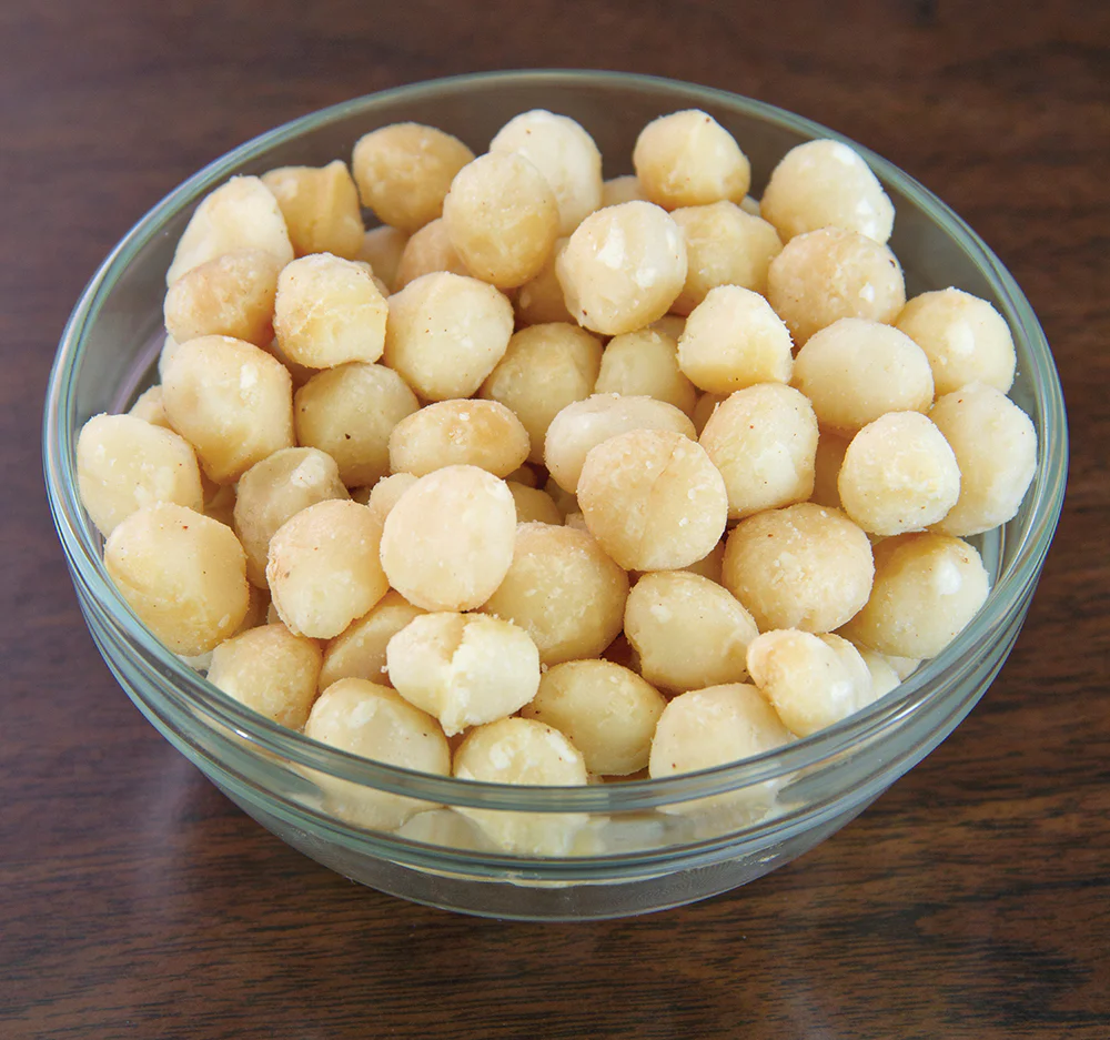 Macadamia Nut Tree (Macadamia integrifolia) - Image 3