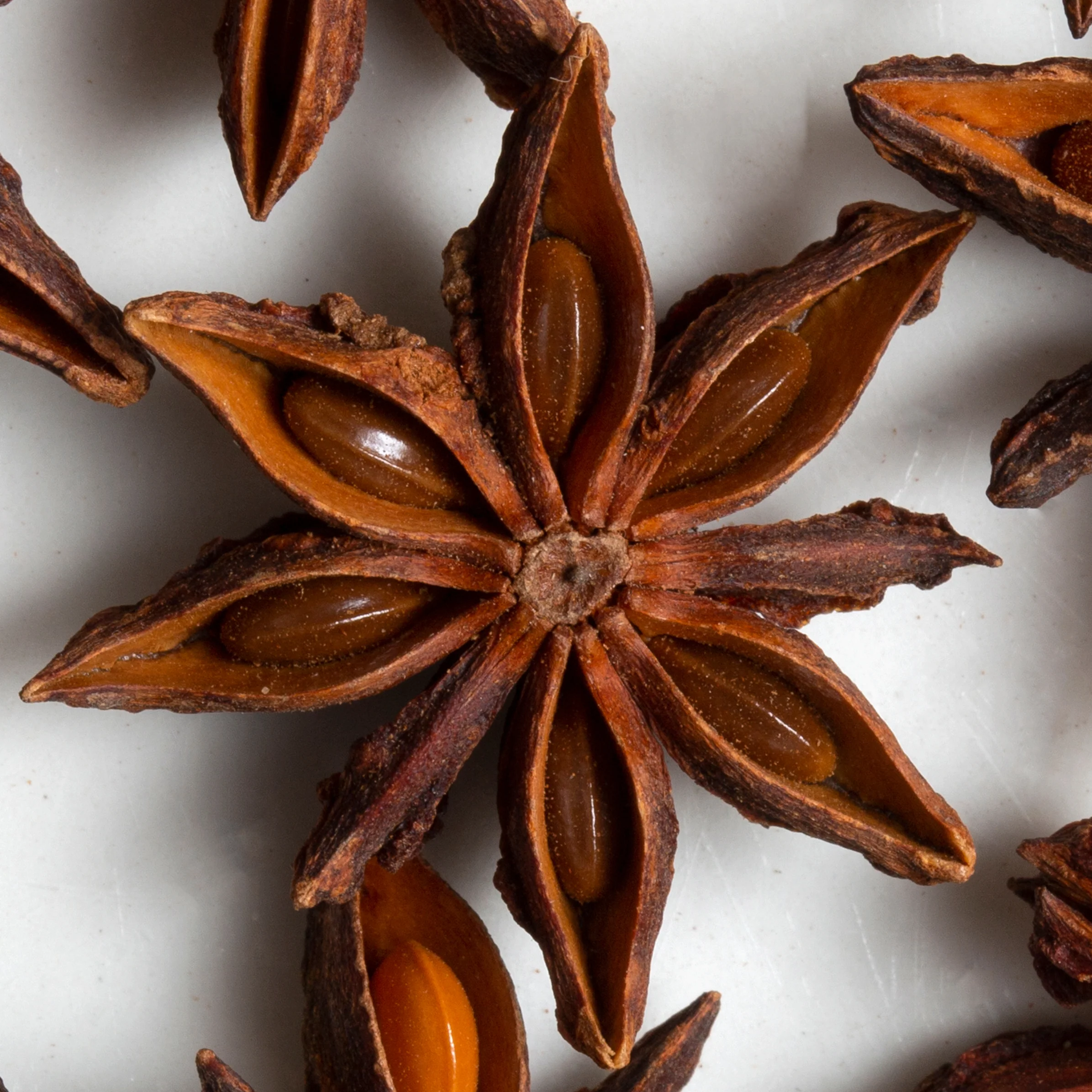 Star Anise (Illicium verum) - Image 2