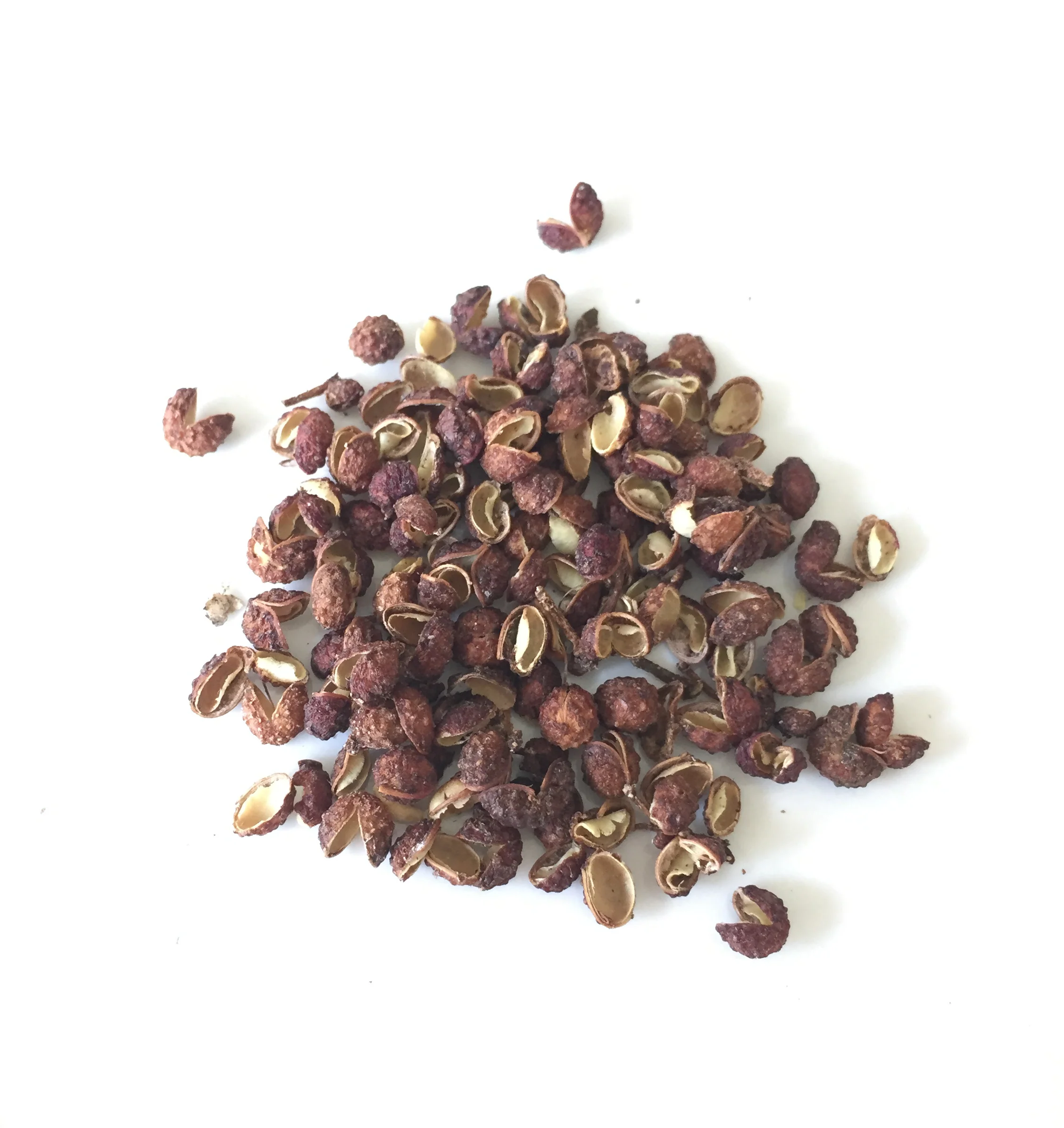 Szechuan Pepper Plant (Zanthoxylum simulans) - Image 2