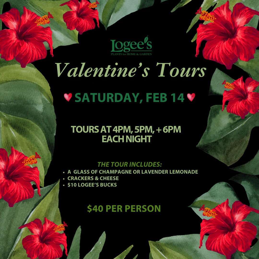 Valentine's Tour - Saturday, February 14 @ 4PM